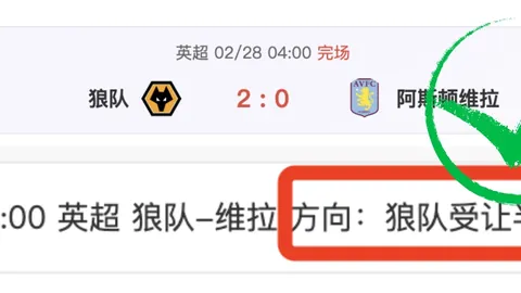 “什琴斯尼回顾：曾梦碎欧冠，今朝重燃夺冠梦”